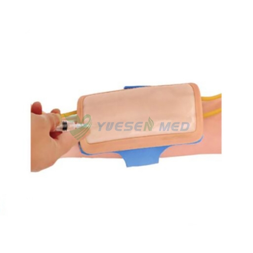 Modèle d'entraînement à la ponction veineuse de l'avant-bras YSBIX-HS14