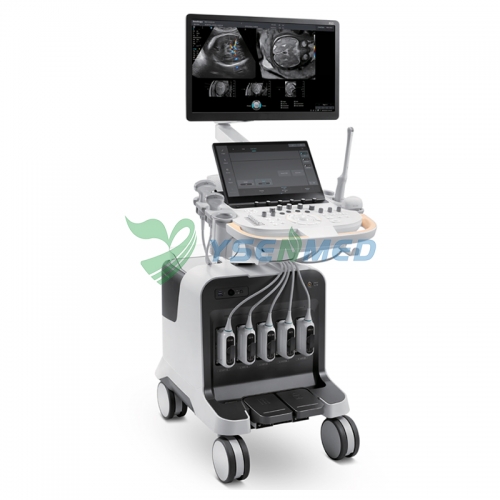 Système d'échographie Doppler couleur SonoScape P80