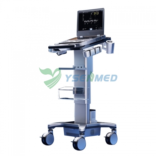 Système d'échographie portable haut de gamme SonoScape X11