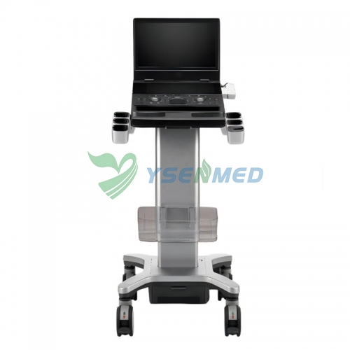 Système d'échographie portable haut de gamme SonoScape E11